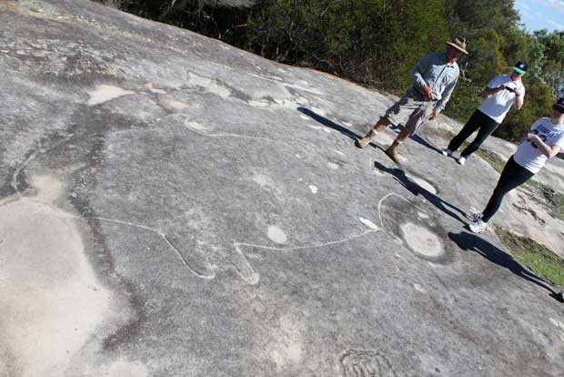 Jibbon Aboriginal rock engravings