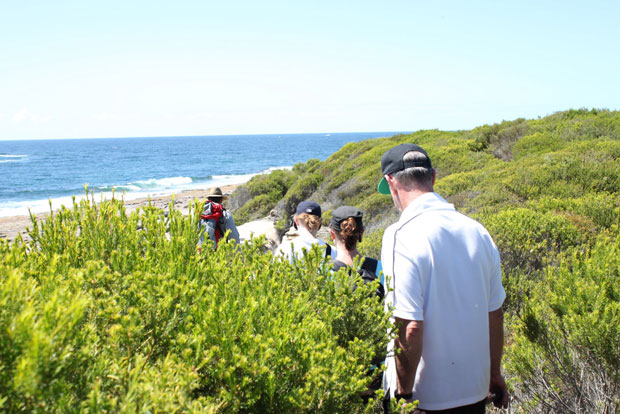 The Coast Track near Jibbon, Royal National Park