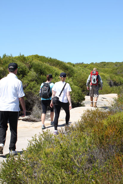 Guided walking tour in Royal National Park