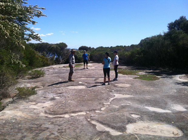 Jibbon Aboriginal rock engravings, Royal National Park