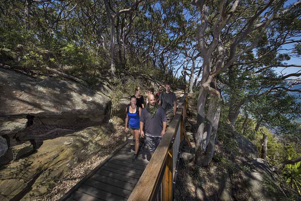 Bradleys Head walk