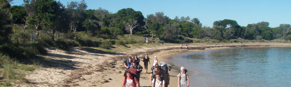 jibbon beach walk