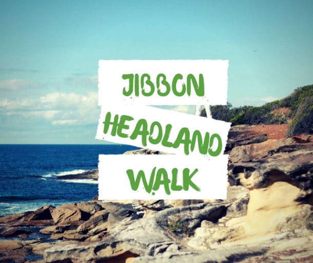 Jibbon Bundeena walk