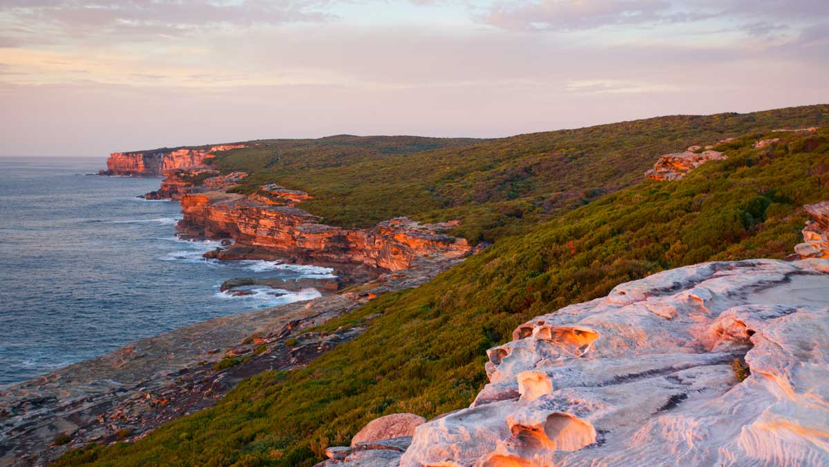 Royal National Park Coastal Walk at dawn.