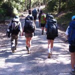 Hiking tips for beginners