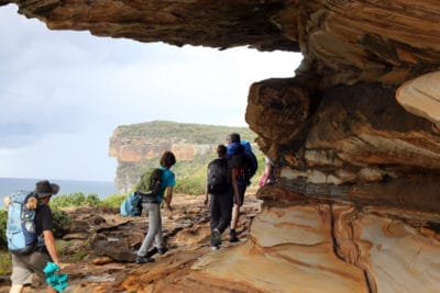 Eagle rock royal national park