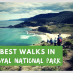 royal national park sydney australia