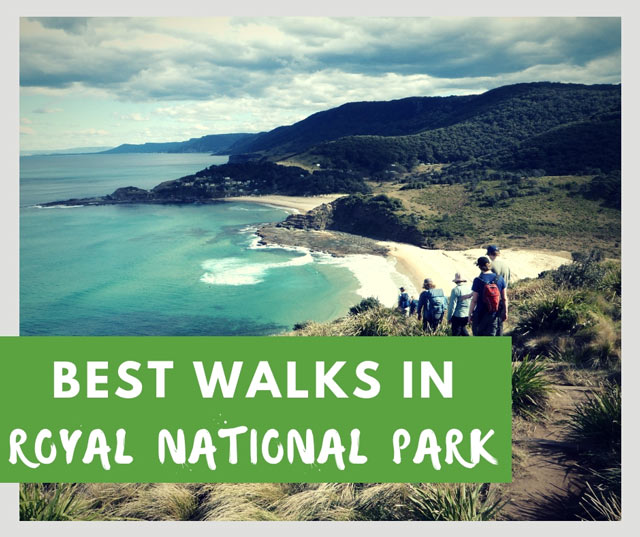 royal national park sydney australia