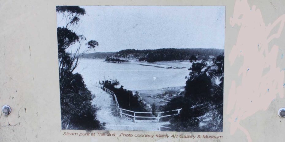 Ellerys Punt Reserve, the start of the Spit to Manly walk