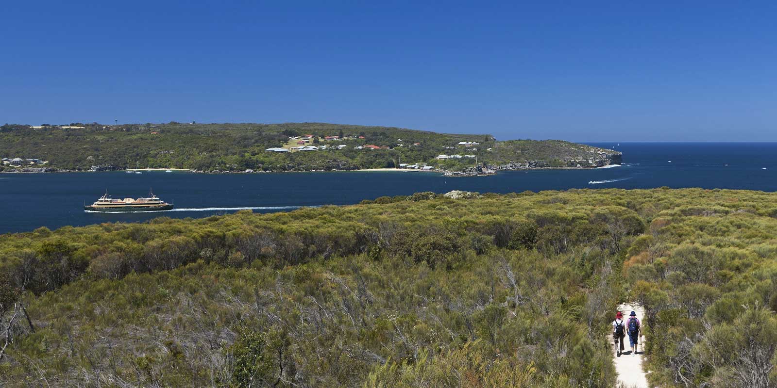 Dobroyd Head on the Spit to Manly walk. Manly Scenic Walkway.