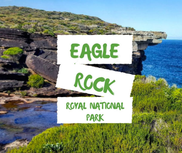 where is eagle rock sydney