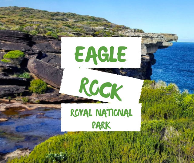 eagle rock travel and tours