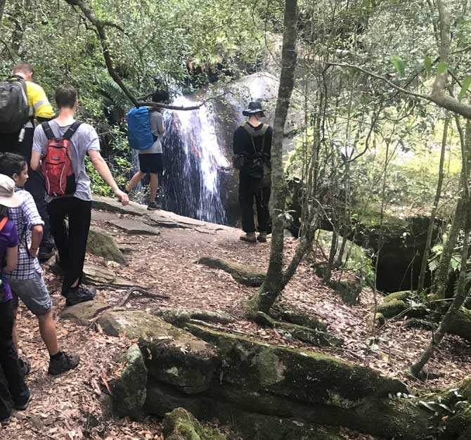 Trail training in Blue Mountains