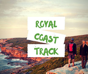 Royal National Park Coastal Walk