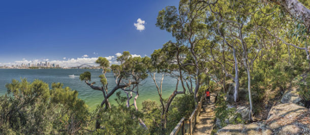 A couple enjoying a bush walk beside Sydney harbour. The Bradleys Head walk is part of the Manly to Bondi Walk, also called the Bondi to Manly walk