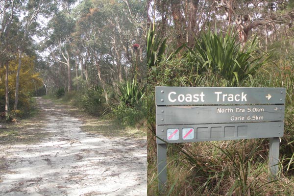 A sign showing The Coast Track in Royal National Park with the turnoff towards Figure 8 Pools.