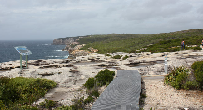 A raised boardwalk on the Royal Coastal Walk, Bundeena.