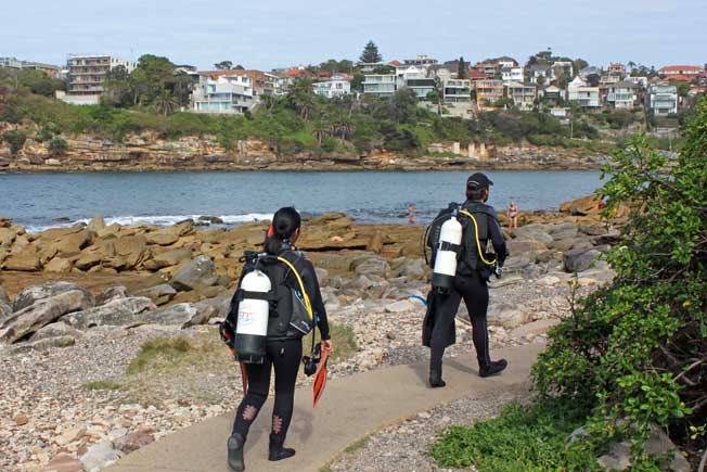 snorkeling in sydney