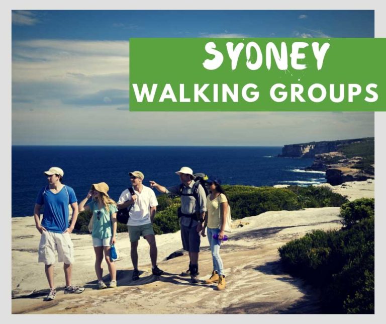 Find Walking Groups Sydney Sydney Coast Walks