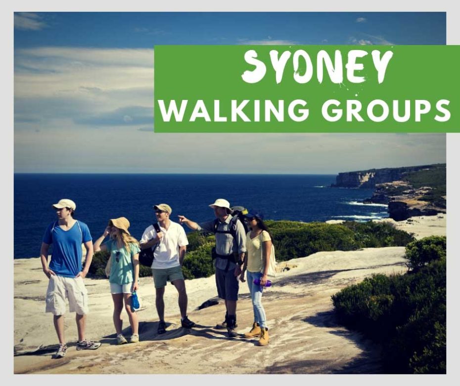 Find Walking Groups Sydney Sydney Coast Walks